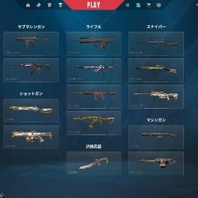 Valo LoL引退垢 メアパス変更可能 | VALORANT(ヴァロラント)のアカウントデータ、RMTの販売・買取一覧