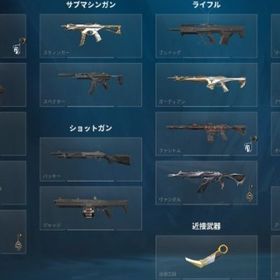 値下げ可能 Radiant 高レート 人気スキン有 | VALORANT(ヴァロラント)のアカウントデータ、RMTの販売・買取一覧