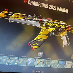 Champion21〜24 コンプ | VALORANT(ヴァロラント)のアカウントデータ、RMTの販売・買取一覧