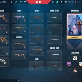 引退垢 | VALORANT(ヴァロラント)のアカウントデータ、RMTの販売・買取一覧