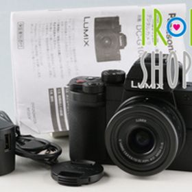 Panasonic Lumix DC-G100D + G Vario 12-32mm F/3.5-5.6 ASPH. MEGA O.I.S. Lens #56554E2