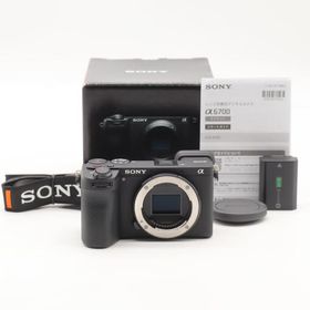 SONY α6700 ボディ ILCE-6700 ショット数 10654回