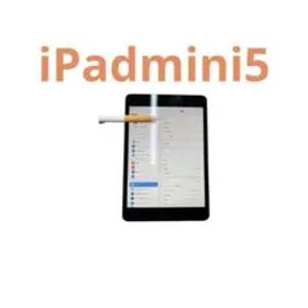 iPad mini5 64GB WiFi 即日発送 動作良好 本体のみ