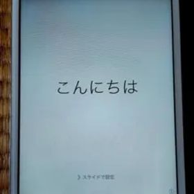 iPad mini A1432 16GB 本体のみ