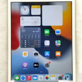 IPADMINI4 MK9Q2J/A APPLE