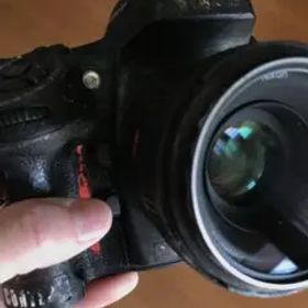 ニコンD800と50ミリ