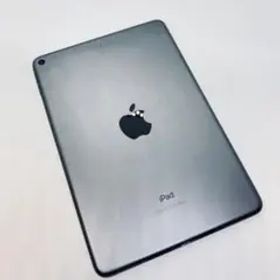 【Wi-Fiモデル】 iPad mini 第5世代 256GB 本体 動作OK！