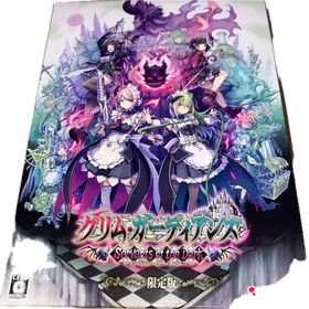 ニンテンドースイッチ(Nintendo Switch)のグリム・ガーディアンズ サーヴァント・オブ・ザ・ダーク（限定版）(家庭用ゲームソフト)