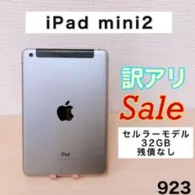 【訳アリ/残債なし】iPadmini2 32GB docomo 923