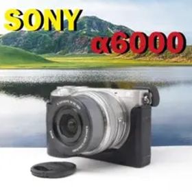 SONY α6000 ミラーレス一眼 パワーズームレンズキット Ｅ16-50ｍｍ