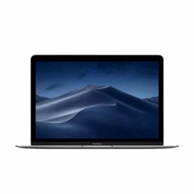 中古パソコン MacBook 12インチ MNYF2J/A Mid 2017 スペースグレイ【Core m3(1.2GHz)/8GB/256GB SSD】 Apple 当社3ヶ月間保証 イオシス