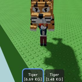 Tiger トラ 🐅 2体セット🎁 | ロブロックス(ROBLOX)のアカウントデータ、RMTの販売・買取一覧