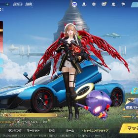 最終値下げ 荒野行動 | 荒野行動のアカウントデータ、RMTの販売・買取一覧