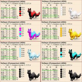 🎨🎃ヴェイルウィン全10カラー✨ 即納OK／高レベル・高ステ個体も多数出品中！ | ARK Survival Evolvedのアカウントデータ、RMTの販売・買取一覧