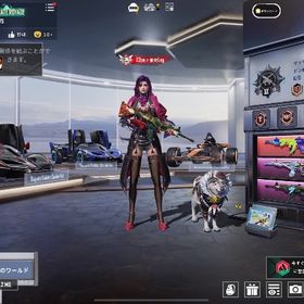 WINNERフレーム | PUBG MOBILEのアカウントデータ、RMTの販売・買取一覧