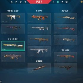 【引退垢】- 課金額54万 | VALORANT(ヴァロラント)のアカウントデータ、RMTの販売・買取一覧