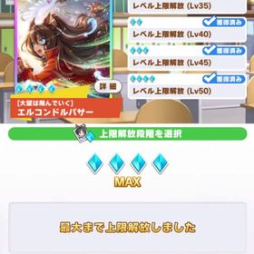 エルコンドルパサー