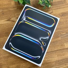 iPad Pro 13 inch M4 Cellular ＋ WiFI