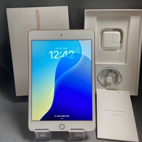 中古 SIMフリー iPad mini 第5世代 64GB Wi-Fi+Cellular