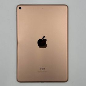 iPad mini 第5世代 Wi-Fiモデル 256GB ゴールド MUU62ZP/A 訳あり品