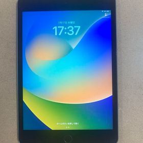 超美品 SIMフリー iPad mini5 第5世代 64GB Wi-Fi+Cellular版