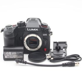 パナソニック(Panasonic)のショット数197回！ PANASONIC GH6 ボディ ブラック DC-GH6(ミラーレス一眼)