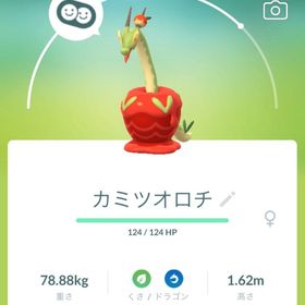 ミニPTCートレード カミツオロチ | ポケモンGOのアカウントデータ、RMTの販売・買取一覧