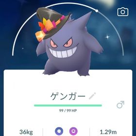 ✨ゲンーガ特殊色違い🎉 | ポケモンGOのアカウントデータ、RMTの販売・買取一覧