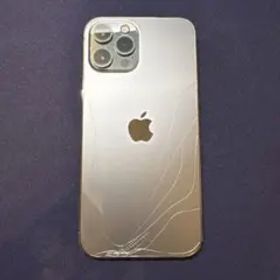 【値下げ不可】iPhone12 promax 本体 128GB グラファイト