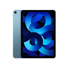 Cランク 第5世代 iPad Air5 256GB スペースグレイ SIMフリー