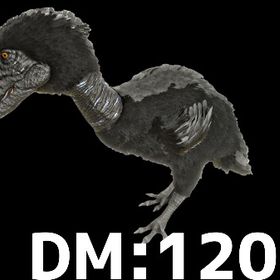 RARE SUPPORT テラーバード | ARK Survival Evolvedのアカウントデータ、RMTの販売・買取一覧