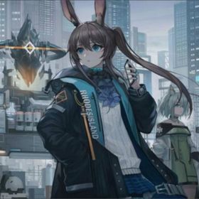 合成玉合計315600-333000個+星6キャラ2-10体（含一体限定） | アークナイツのアカウントデータ、RMTの販売・買取一覧