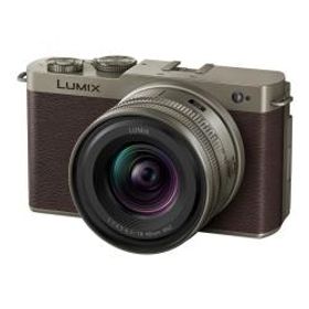 パナソニック LUMIX DC-S9N-N ZLK 広角ズームレンズキット チタンゴールド