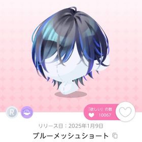 宵様 専用 | ポケコロツイン(ポケツイ)のアカウントデータ、RMTの販売・買取一覧