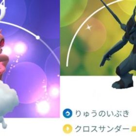 6248【PTC】在庫処分！色違いゼクロム クロスサンダー、ラブトロス12匹 | ポケモンGOのアカウントデータ、RMTの販売・買取一覧