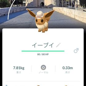 サファリ帽子イーブイ 背景バレンシア | ポケモンGOのアカウントデータ、RMTの販売・買取一覧