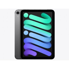 アイパッド(iPad)の新品 iPad mini Wi-Fi 128GB スペースグレイ 第7世代(タブレット)