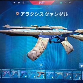 ヴァンダルスキンほとんど所有垢 | VALORANT(ヴァロラント)のアカウントデータ、RMTの販売・買取一覧