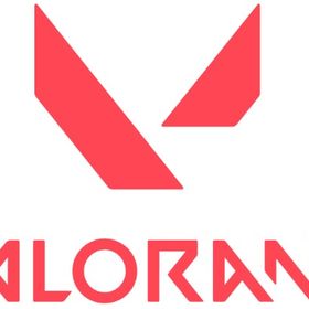 認定戦5戦未進行🔥レベル20💎手工作業💎メール変更可 | VALORANT(ヴァロラント)のアカウントデータ、RMTの販売・買取一覧