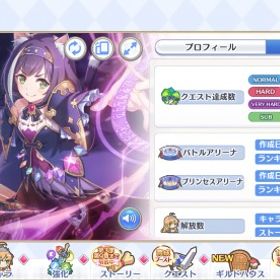 格安強引退垢 即購入️⭕️ | プリンセスコネクト(プリコネR)のアカウントデータ、RMTの販売・買取一覧