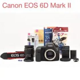 保証付き一眼レフカメラCanon EOS 6D Mark II 標準レンズセット