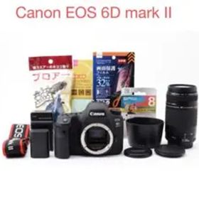 保証付/一眼レフカメラCanon EOS 6D Mark II 望遠レンズセット