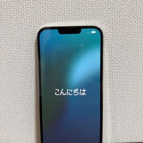 iPhone13promax 256gb