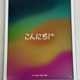 [訳アリ品] Apple iPad 10.2インチ 第7世代 Wi-Fi 128GB 2019年秋モデル MW782J/A シルバー【管理番号：xx1746】