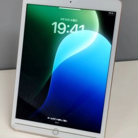 【Wi-Fiモデル】iPad 第7世代/A2197/128GB〈MW792J/A〉