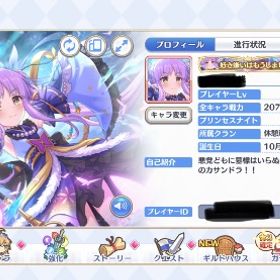 プリンセスコネクト 引退