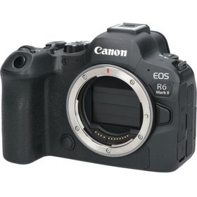 キヤノン(Canon)のＥＯＳ Ｒ６ ＭＡＲＫ ＩＩ(デジタル一眼)