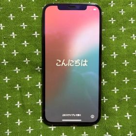 Apple iPhone 12 Pro 256GB SIMフリー