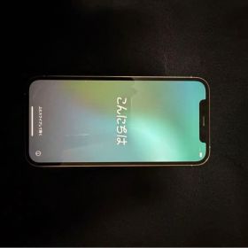 Apple iPhone 12 Pro シルバー 本体