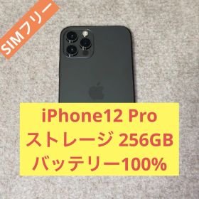 iPhone 12 Pro SIMフリー バッテリー100% 256GB